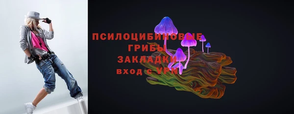 apvp Алзамай