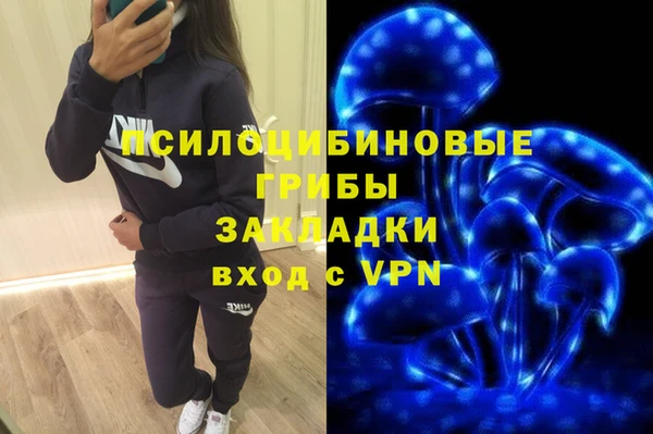 apvp Алзамай