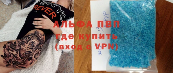 apvp Алзамай