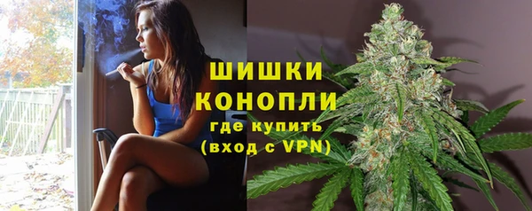 apvp Алзамай